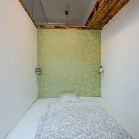 Lion Apartman