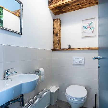 Lion Apartman Nocleg ze śniadaniem Segedyn