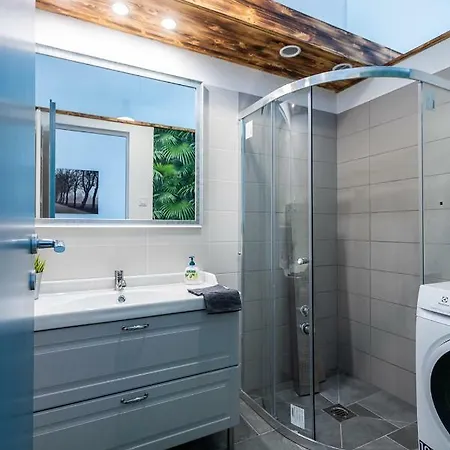 Lion Apartman Nocleg ze śniadaniem Segedyn